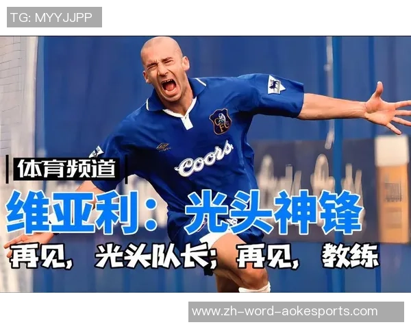 足球维亚利的传奇旅程与辉煌成就探秘